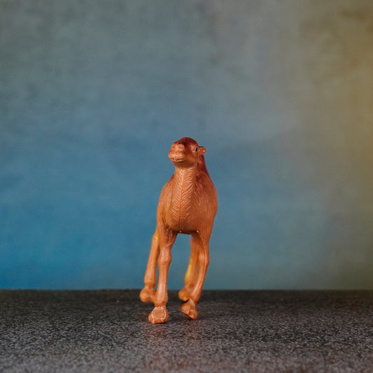 CAMEL