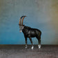 ANTELOPE 7