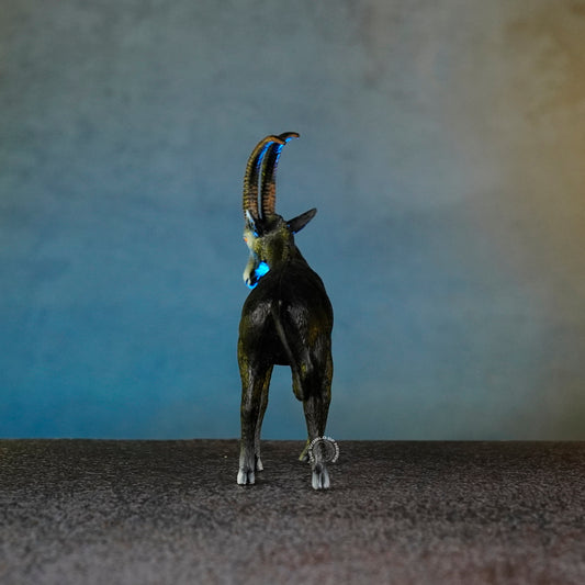 ANTELOPE 7