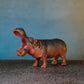 HIPPOPOTAMUS
