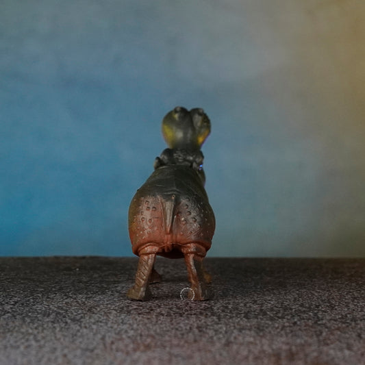 HIPPOPOTAMUS