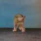 RHINOCERAS