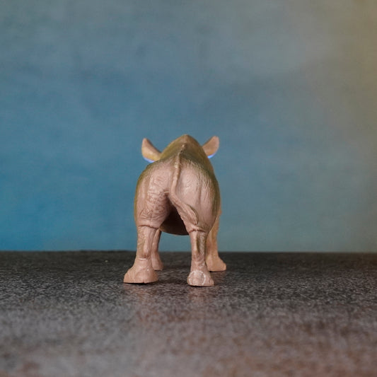 RHINOCERAS