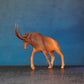 ANTELOPE 5