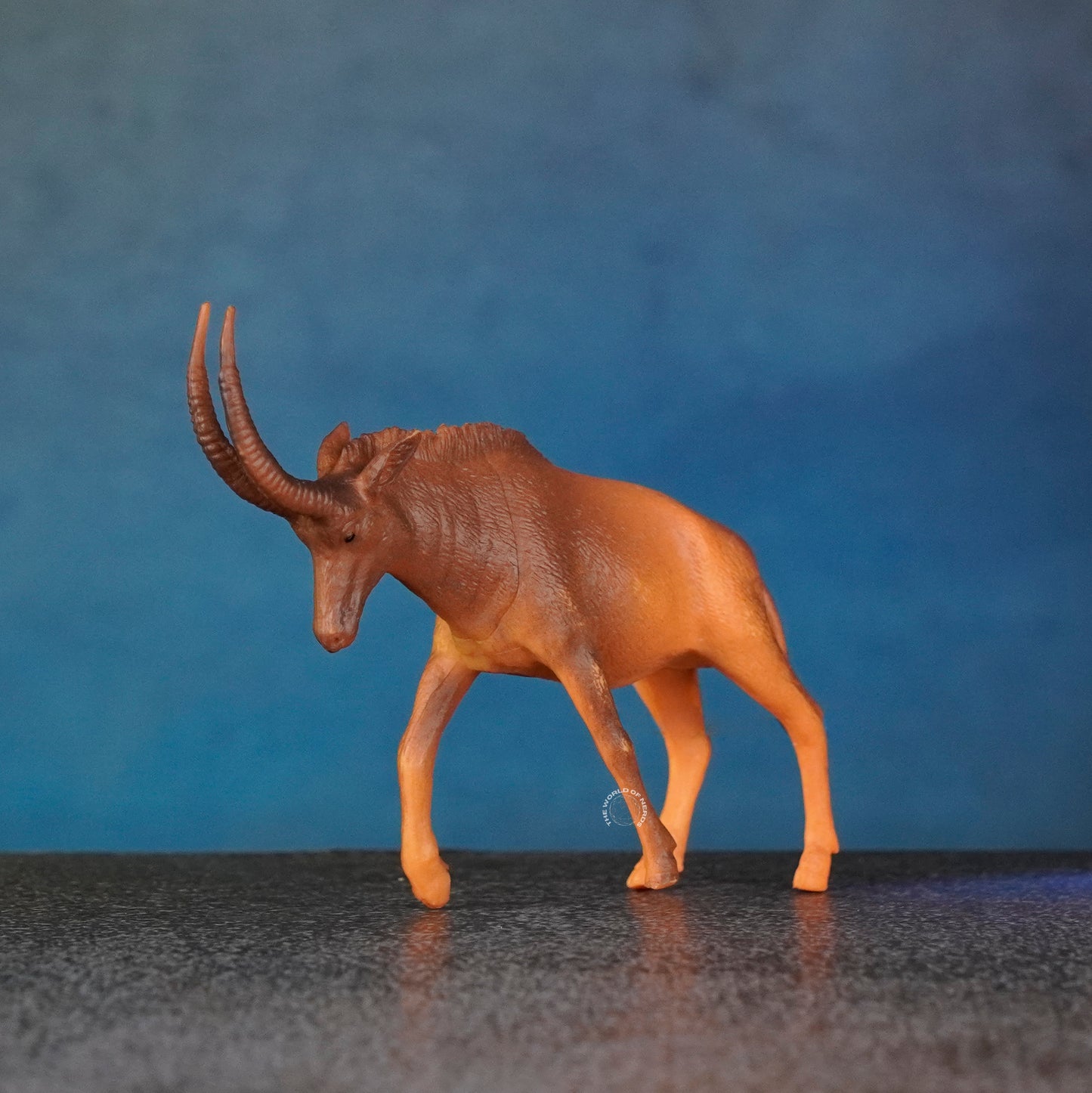 ANTELOPE 5