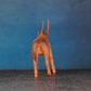 ANTELOPE 5