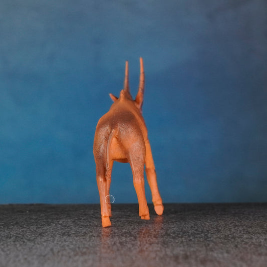 ANTELOPE 5