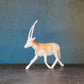 ANTELOPE 2