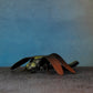 EMPEROR DRAGON FLY