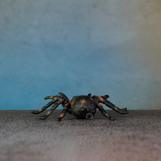 SPIDER
