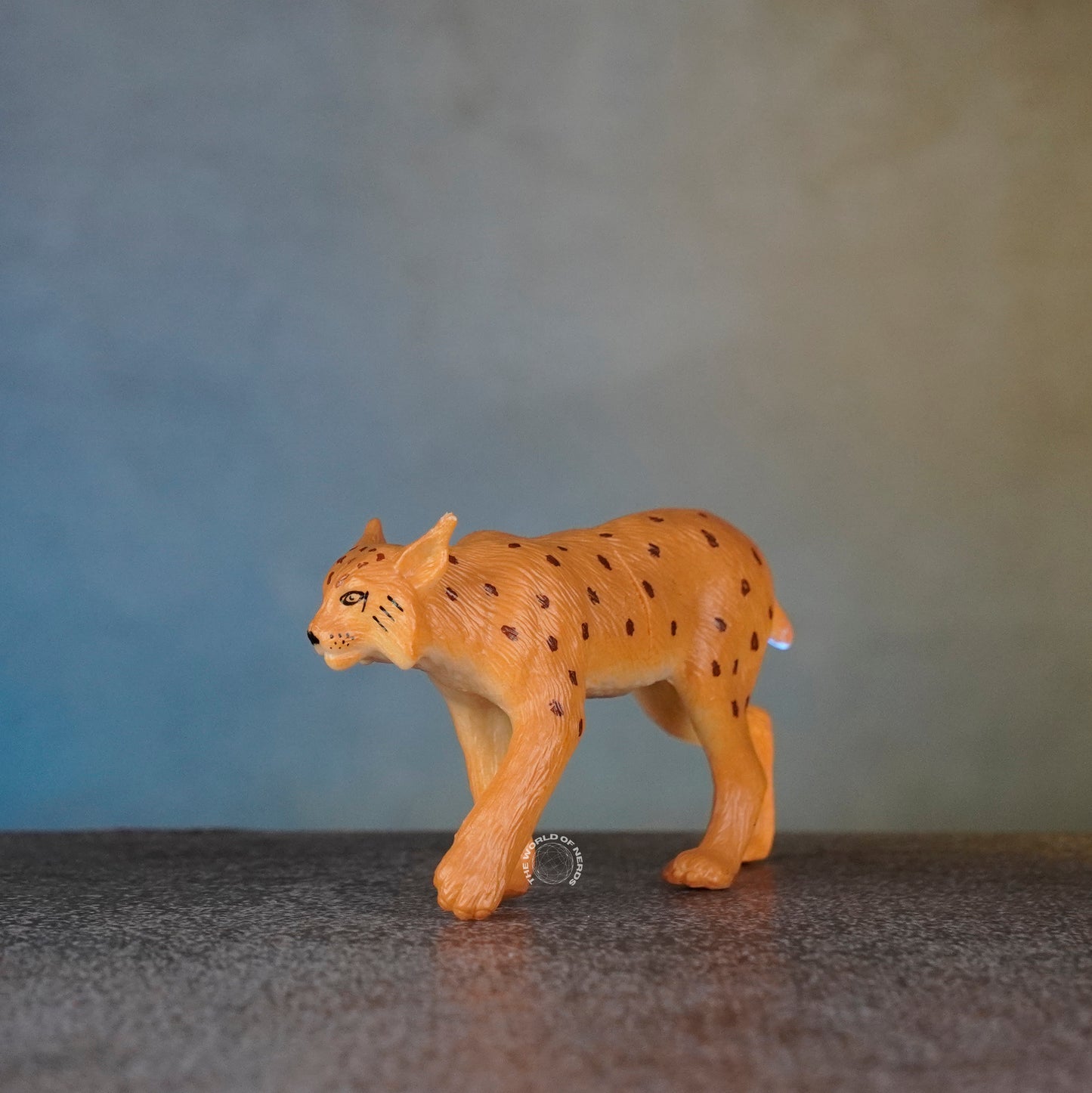 WILD CAT