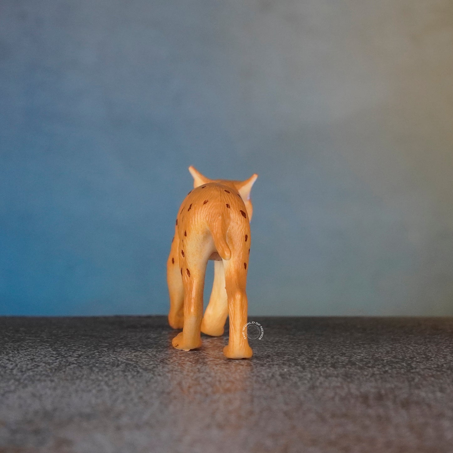 WILD CAT