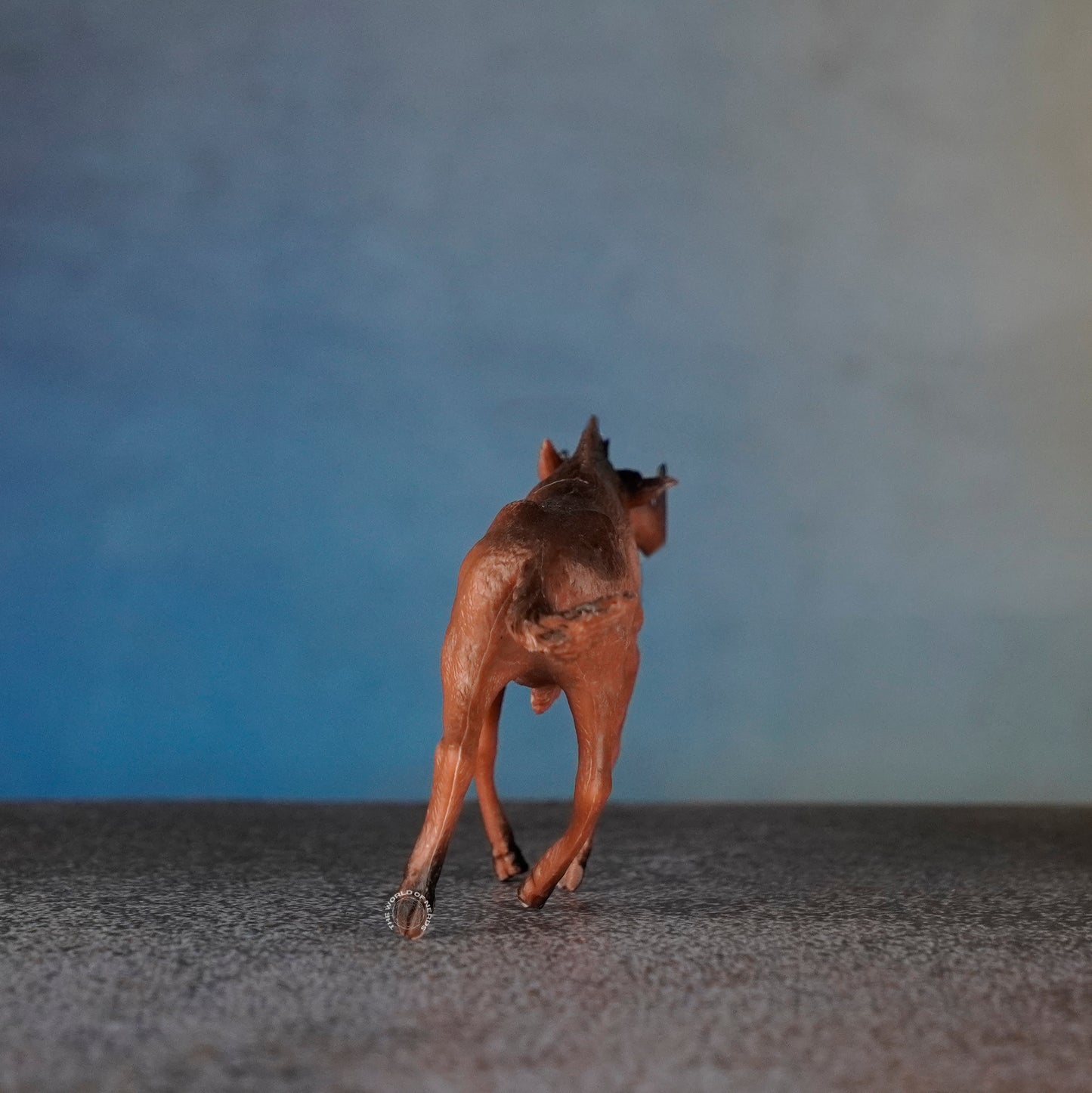 ANTELOPE 8