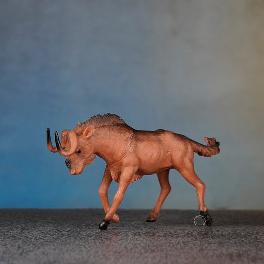 ANTELOPE 8