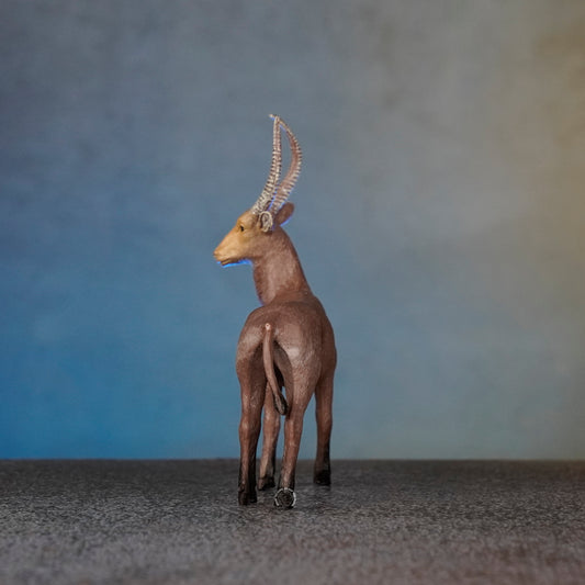 ANTELOPE 1