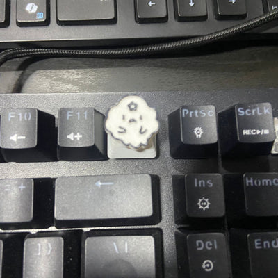test 4